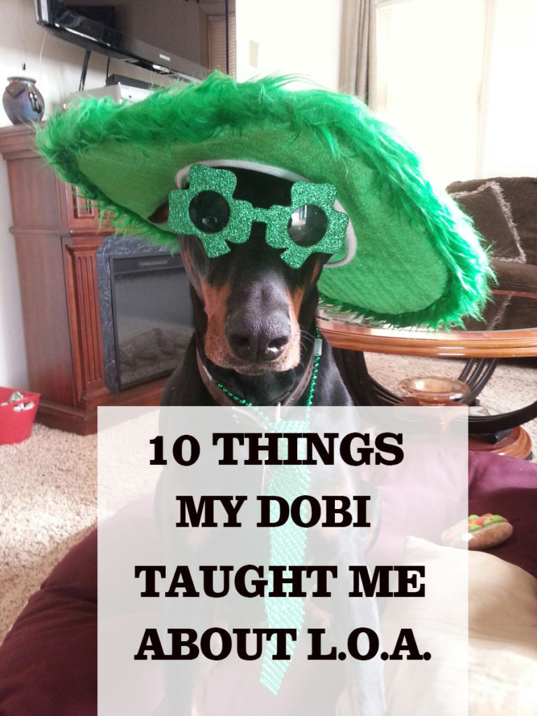 Black, beautiful doberman sitting nicely facing you wearing a big green St. Patties feathery hat a green necklace and sunglasses