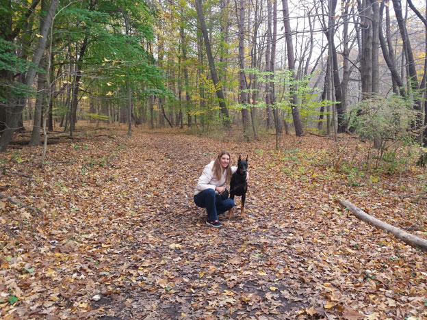 A female with a doberman in the park with beautiful fall leaves on the ground